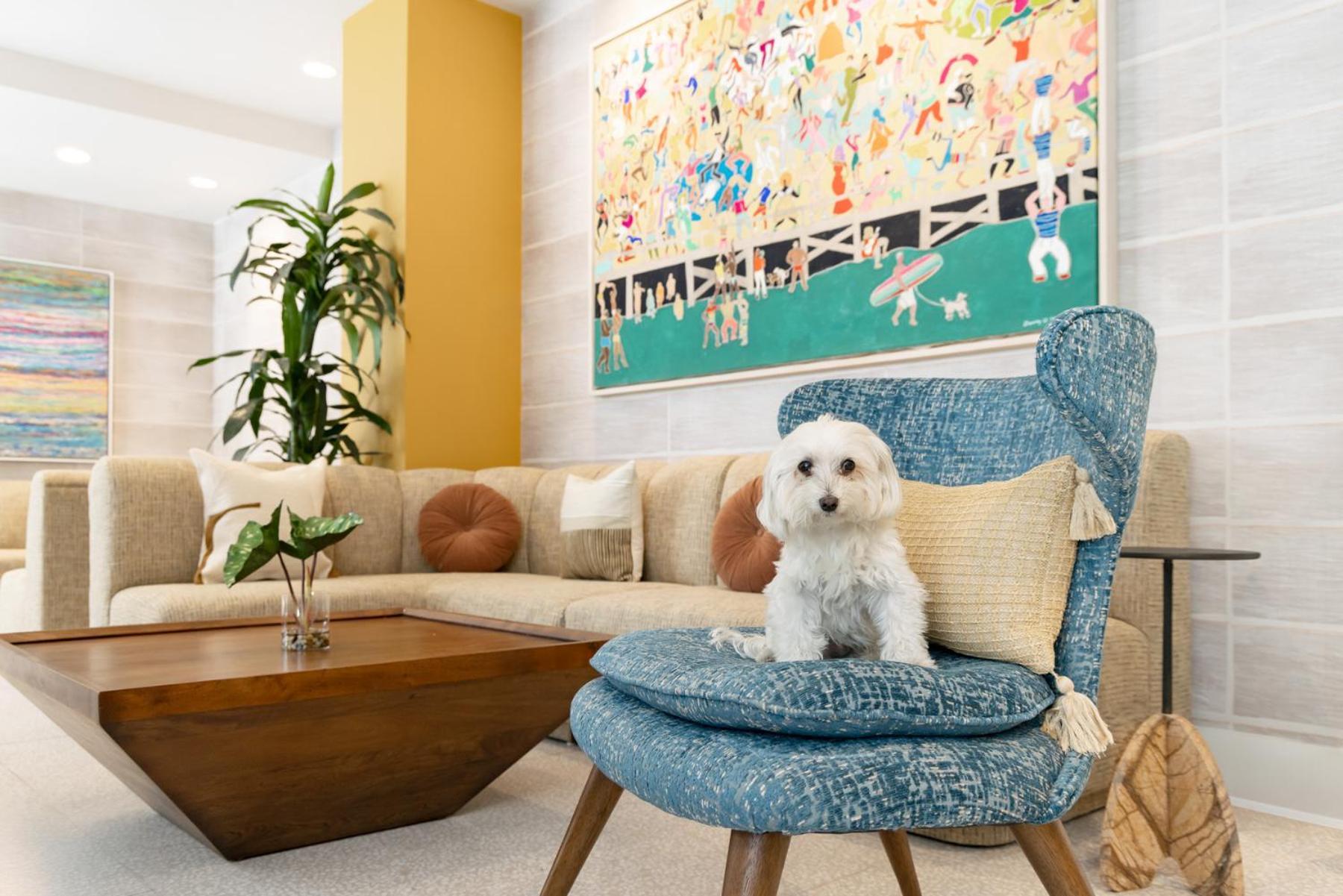 Hotel Continental Miami Beach, Tapestry Collection By Hilton Exterior foto